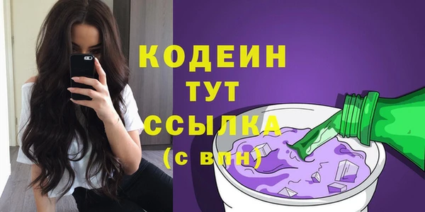 прущие грибы Бородино