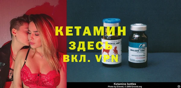 прущие грибы Бородино