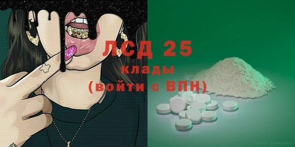 прущие грибы Бородино