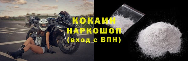 прущие грибы Бородино