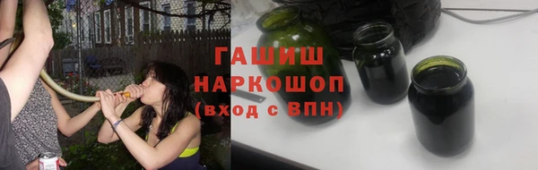 прущие грибы Бородино