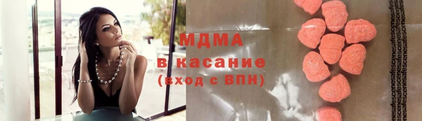 прущие грибы Бородино