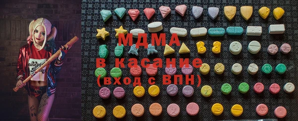 прущие грибы Бородино