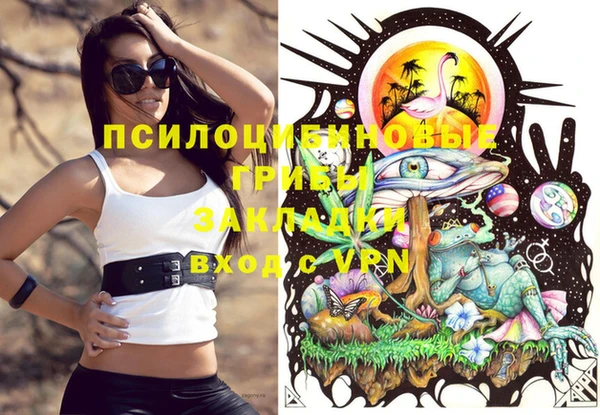 прущие грибы Бородино