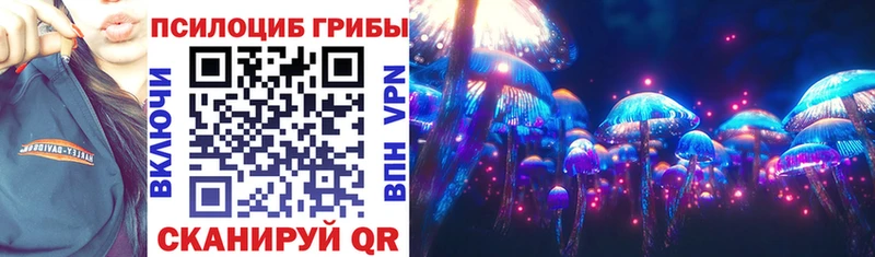 Галлюциногенные грибы Cubensis  цена   Короча 